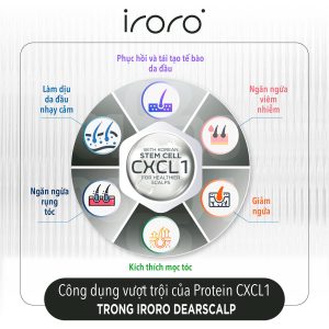 Protein ngăn ngừa rụng tóc