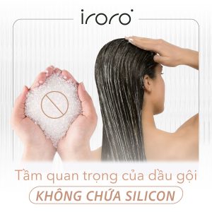 Dầu gội không chứa Silicon